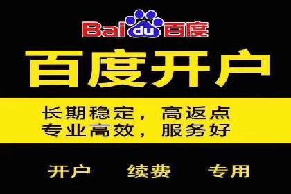 SEM竞价推广案例：低成本高效益的秘诀揭秘
