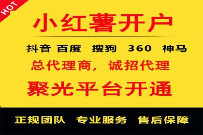案例解读：网络推广与竞价策略